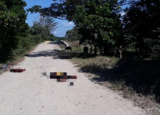 Foto tomada de Twitter: @CaminanteGP