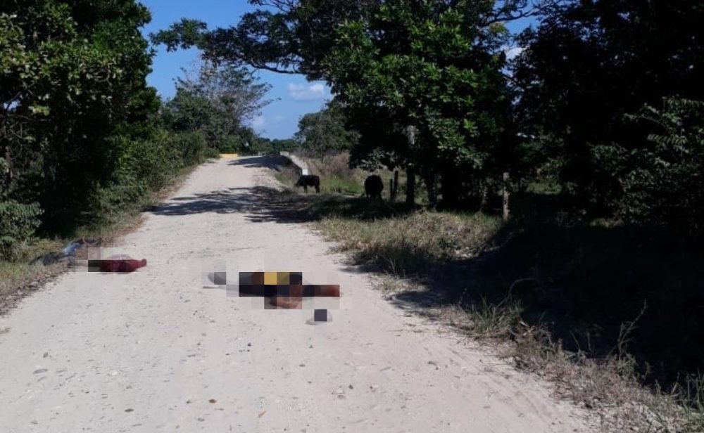 Foto tomada de Twitter: @CaminanteGP